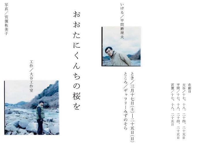 おおたにくんちの桜を"